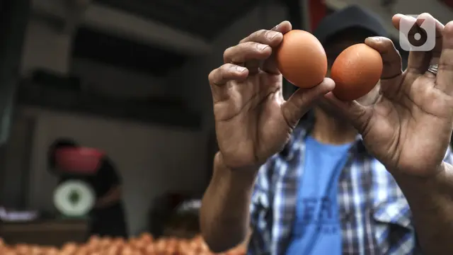 FOTO: Harga Telur Ayam Hampir Sentuh Rp 30 Ribu per Kg