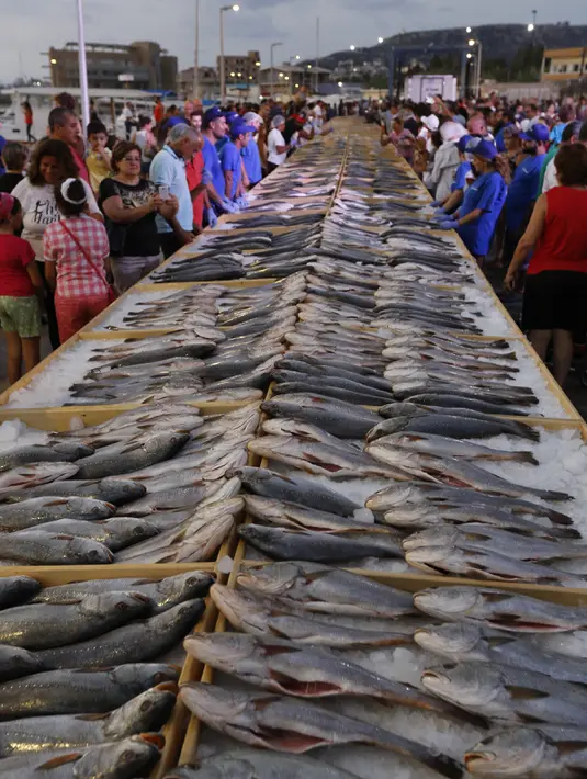 Sejumlah ikan yang dikumpulkan anggota dari Lebanon's Batroun Traders Association berhasil memecahkan rekor makanan laut terbanyak di daerah kota pantai Batroun, Minggu (4/9). Menurut panitia, total ikan yang dikumpul 2 ton 614 kg. (AFP PHOTO/Anwar AMRO)