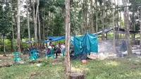 Tempat kejadian perkara (TKP) tewasnya 3 anggota Polres Way Kanan tertembak saat menggrebek judi saabung ayam di Kampung Karang Manik, Kecamatan Negara Batin. Foto : (Istimewa).