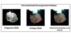 Anak Krakatau Meluas 32,8 Hektare Usai Erupsi, Muncul 2 Daratan Baru