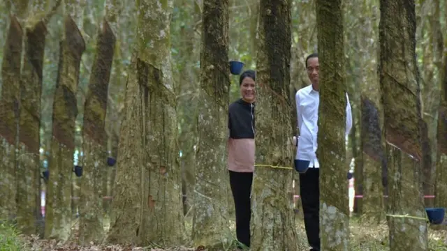 Pose Mesra Jokowi dan Iriana di Hutan Karet Banyuasin