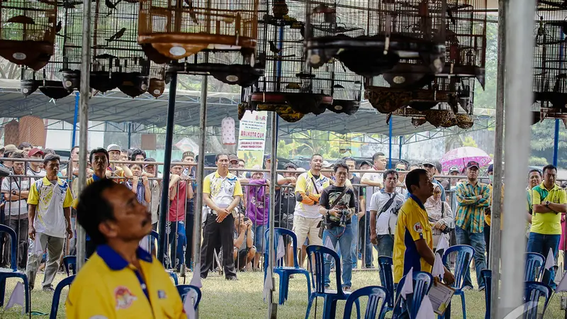 Walikota Cup Lubuklinggau 2014 Bikin Heboh Kicau Mania di Sumatra