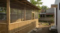 5 Desain Kandang Ayam Terbuka dengan Sirkulasi Udara Maksimal di Daerah Panas agar Ayam Sehat
