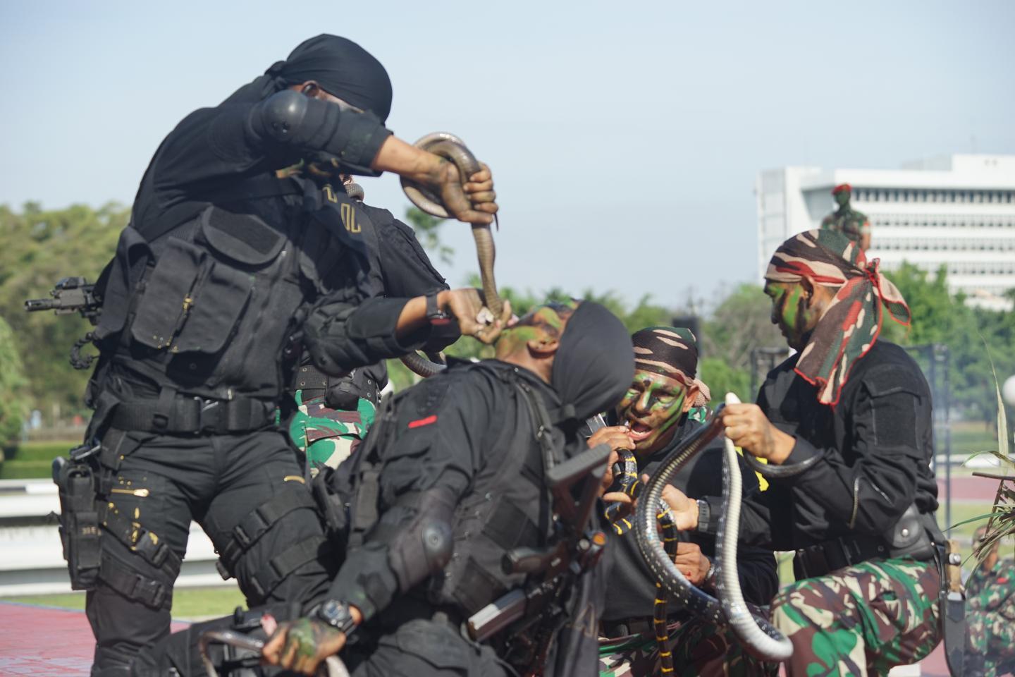 latihan komando malaysia kejam