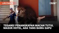 Heboh Macan Tutul Masuk Hotel Di Bandung, Penangkapan Dramatis!