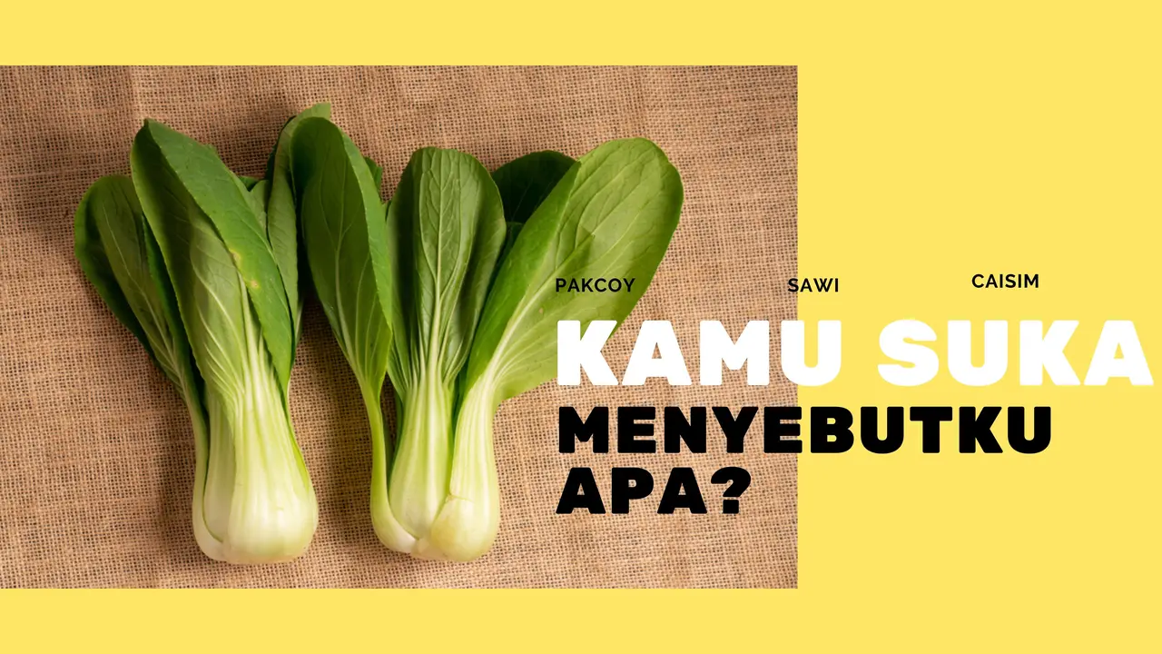 Quiz Fimela
