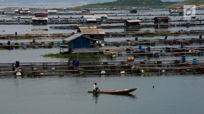 Petani Kerambah Jaring Apung Waduk Jatiluhur Imam1