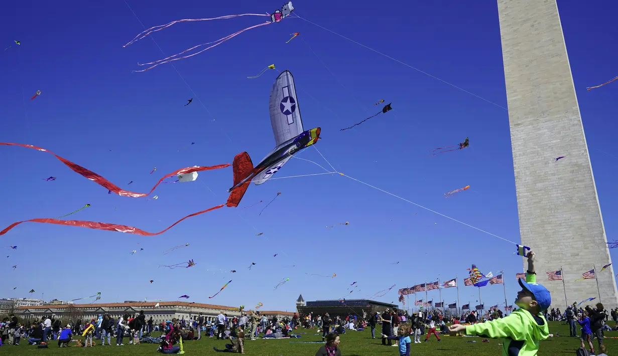 Seorang anak laki-laki berusaha menerbangkan layang-layang pada Festival Blossom Kite atau Festival Layang-Layang di dekat Monumen Washington di Washington, D.C., Sabtu (31/3). Festival ini untuk menyambut bunga sakura bermekaran. (Eva HAMBACH/AFP)