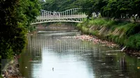 Ceceran sampah menumpuk di pinggir Kali Ciliwung di sisi jalan Menteng Tenggulun, Jakarta, Kamis (22/12). Turunnya debit air Kali Ciliwung membuat ceceran sampah tersangkut. (Liputan6.com/Helmi Fithriansyah)