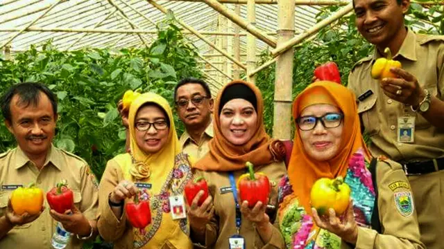 Salam Pagi