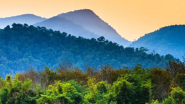 Merayakan Hari Menanam Pohon Nasional yang ke 41 tahun di China, Inilah 5 Hutan China yang Paling Indah