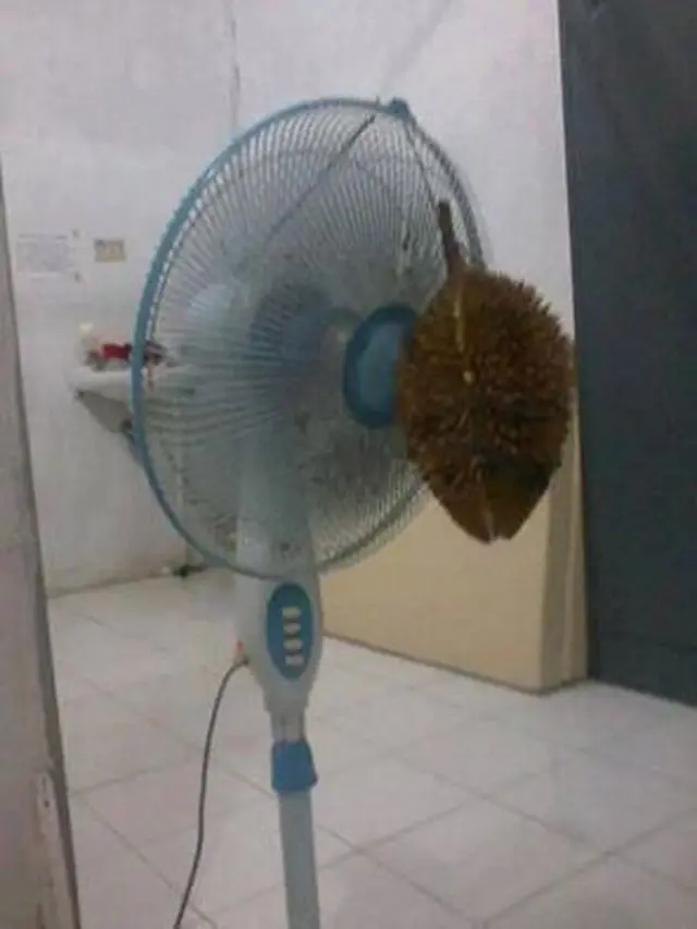 6 Gantungan Pengharum Ruangan di Kipas Angin Ini Nyeleneh Banget, Kocak