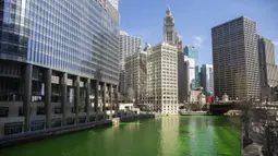 Sungai Chicago berwarna hijau jelang Hari Santo Patrick di Chicago, Amerika Serikat, Sabtu (13/3/2021). Setiap tahunnya, Sungai Chicago akan diwarnai hijau dalam rangka memperingati Hari Santo Patrick. (Pat Nabong/Chicago Sun-Times via AP)