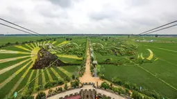 Foto udara gambar kereta api yang dibuat dengan menggunakan varietas padi yang berbeda terlihat di sebuah sawah di Shenyang, provinsi Liaoning, China, 24 Juni 2020. Saat ini pembuatan karya lukis di sawah sudah menjadi tradisi para petani di daerah tersebut. (STR/AFP)