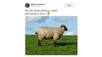 Pelesetan Nama Hewan (sumber: Twitter)