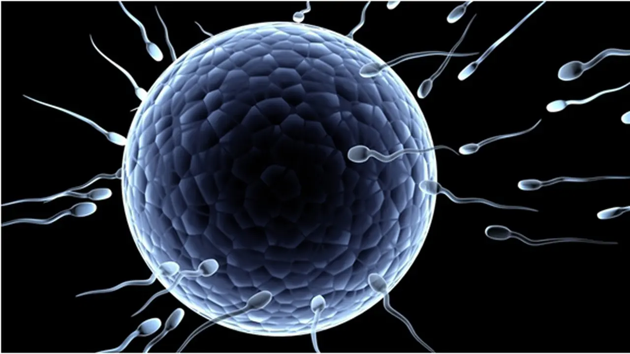 Foto: copyright shutterstock.com