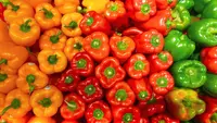 Perbedaan Paprika Merah, Kuning, dan Hijau untuk Penggunaan Terbaik di Berbagai Hidangan