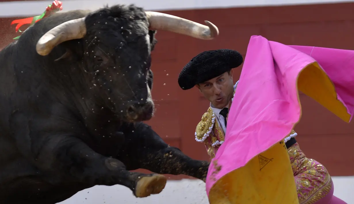 Matador Spanyol, Rafaelillo bertarung melawan banteng di Plumacon Arena di Mont de Marsan selama Festival La Madeleine, Prancis pada 23 Juli 2016. (AFP PHOTO / Gaizka IROZ)