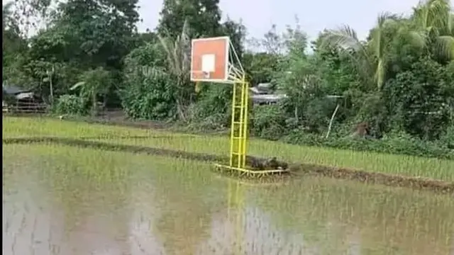 Kocak, Deretan 7 Potret Lapangan Basket Ini Bikin Elus Dada