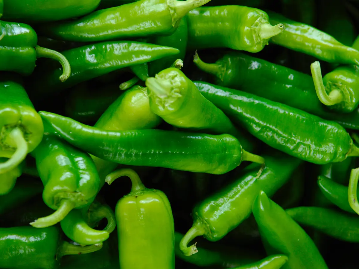 5 Manfaat Cabai Hijau Bagi Kesehatan Tubuh, Tinggi Kandungan Nutrisinya -  Lifestyle Fimela.com