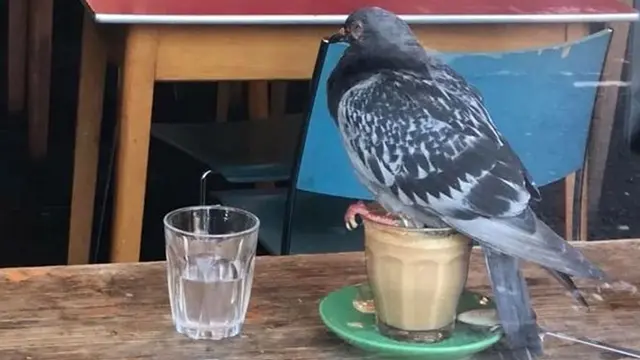 6 Momen Apes saat Mau Minum Ini Bikin Geleng Kepala