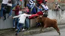 Seorang pria melemparkan jubahnya pada banteng muda dalam acara lari dikejar banteng di Pillaro, Ekuador, 4 Agustus 2018. Dalam acara ini, lusinan banteng dilepas dan berlari menabraki para pengunjung yang memadati jalan. (AP/Dolores Ochoa)