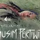 Film Empat Musim Pertiwi bakal tayang di Toronto International Film Festival (TIFF) 2026 (Credit: Forka Films)