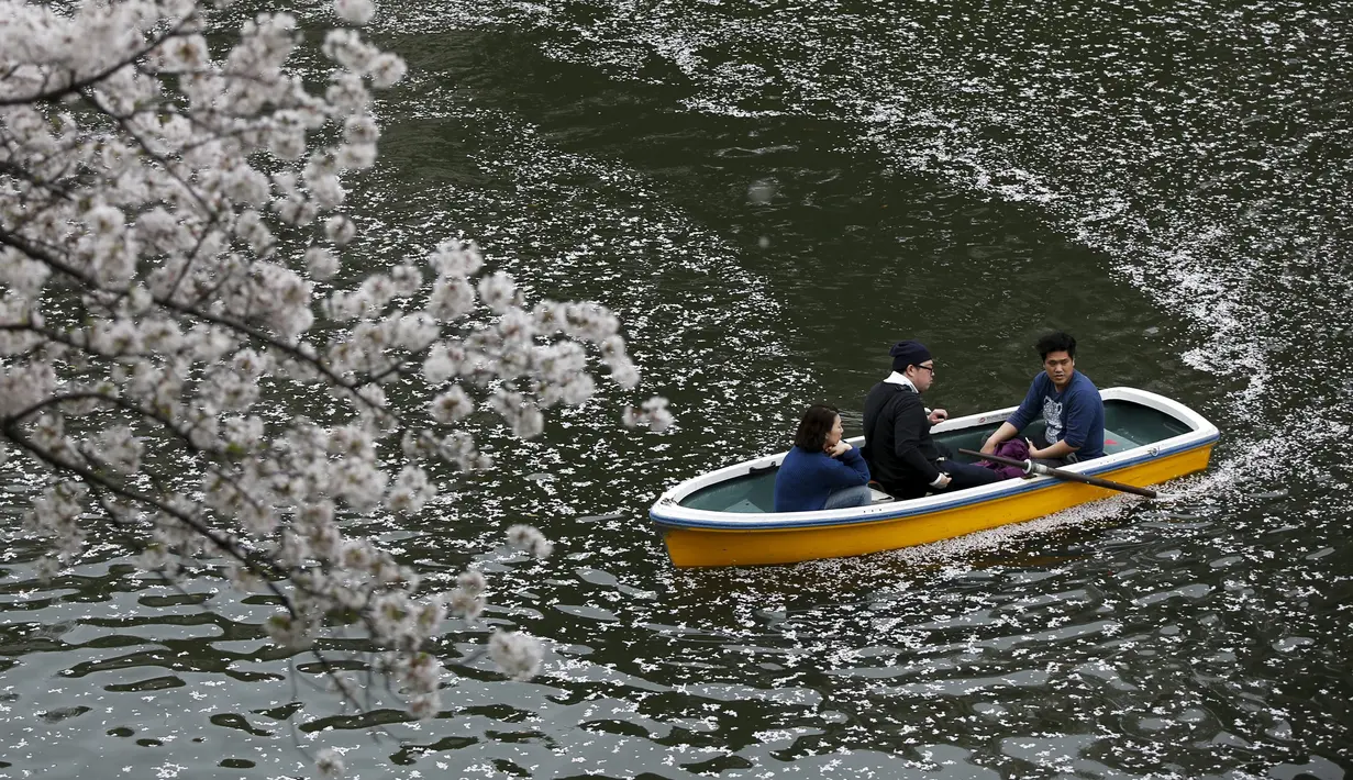 Pengunjung mendayung perahu melihat keindahan bunga sakura yang mekar sempurna di Chidorigafuchi selama musim semi di Tokyo, Jepang, (4/4). Bunga Sakura merupakan satu keunggulan negara Jepang. (REUTERS/Issei Kato)