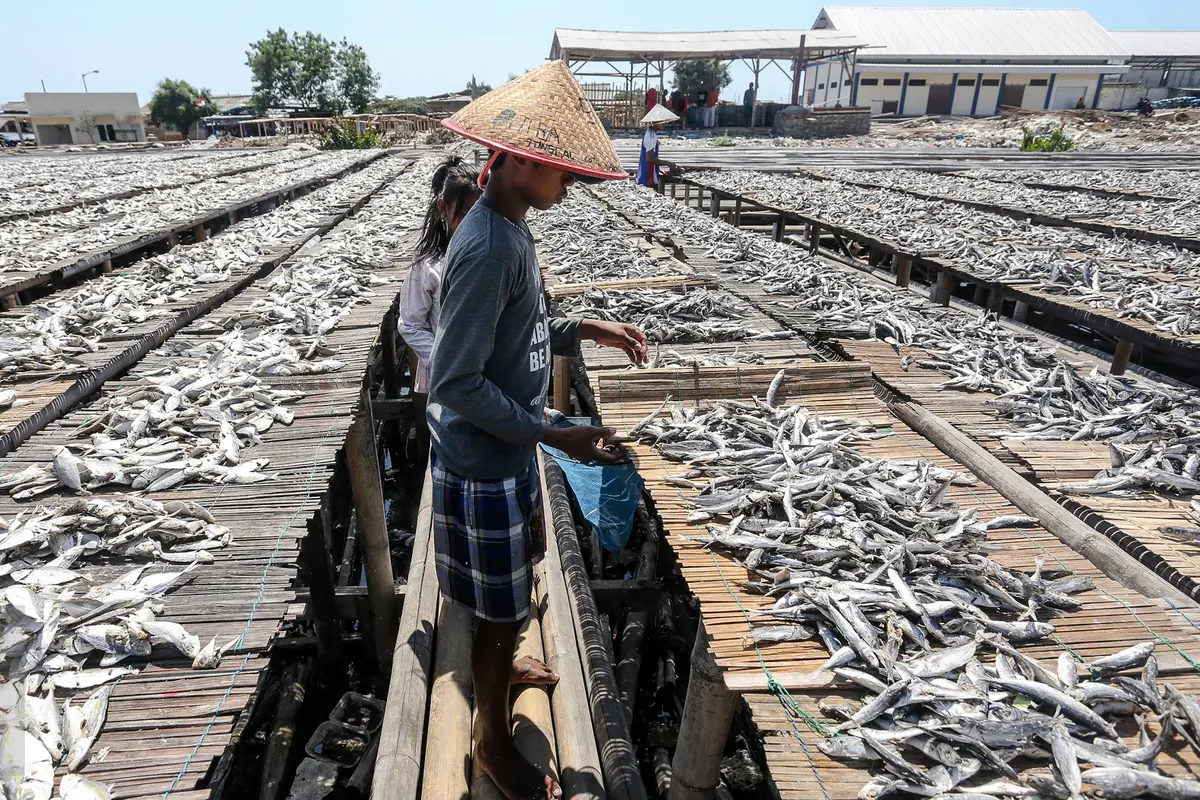 20150803-Musim Kemarau, Produksi Ikan Asin Meningkat -Jakarta