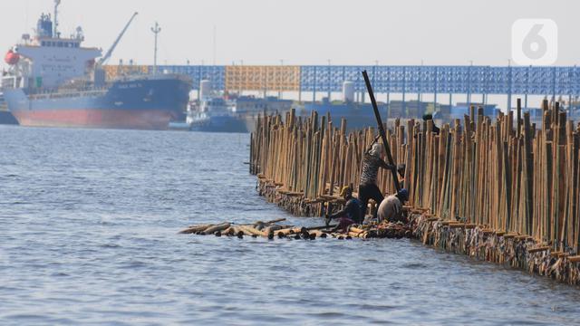 Turap bambu di kawasan Pelabuhan Marunda