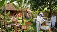 Panduan Lengkap Usaha Ternak Lebah Madu Kecil-kecilan di Pekarangan, 7 Langkah Praktis untuk Pemula