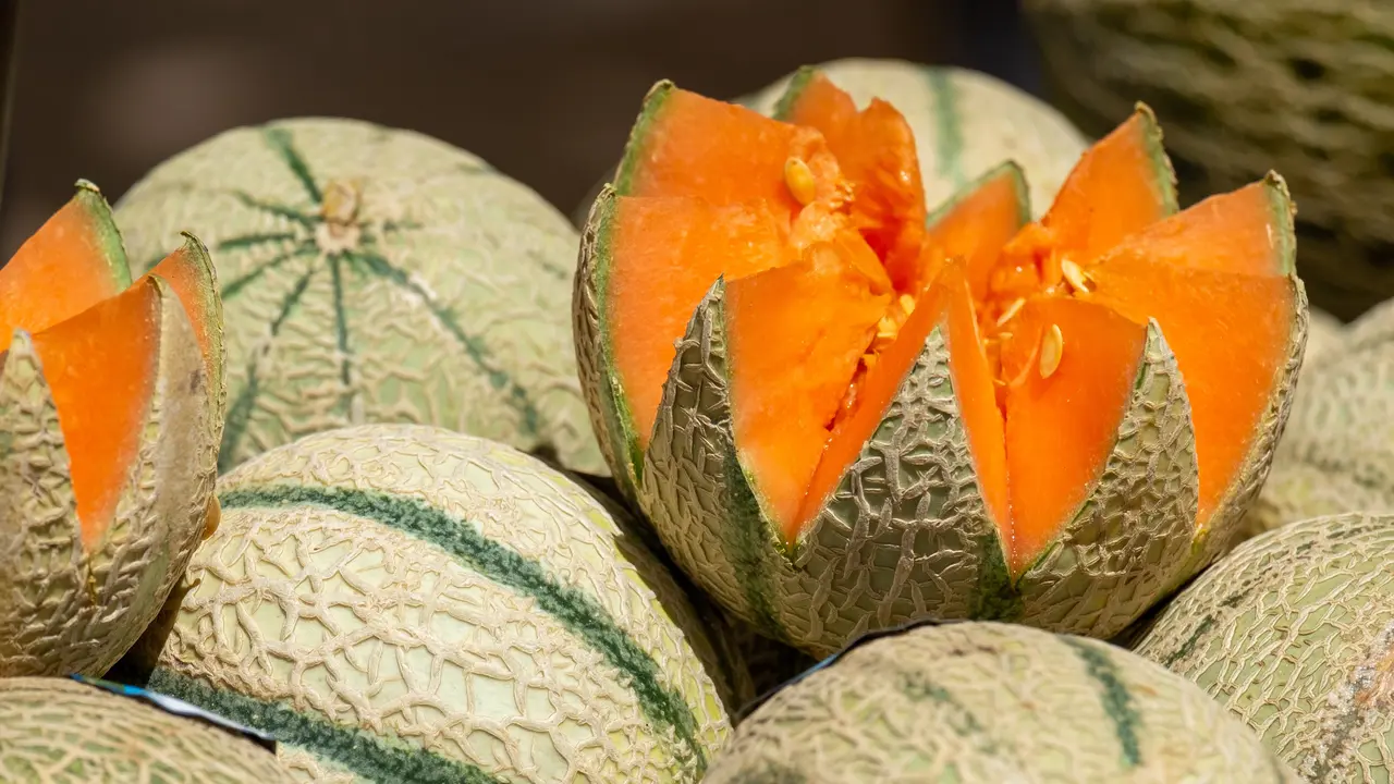 melon