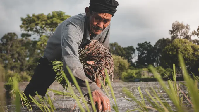 Jalankan Program CSR, Greenfields Ajak Masyarakat Indonesia untuk Mengapresiasi Jasa Petani Indonesia