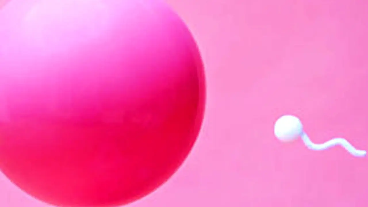 Sperma