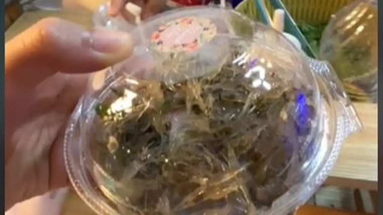 Turis Indonesia Beli Salad Udang di Thailand, Udangnya Loncat Saat Kemasan Dibuka