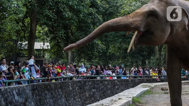 Libur Lebaran 2023, Pengunjung Taman Margasatwa Ragunan Membludak