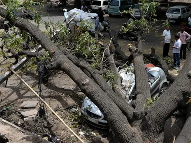 Sejumlah warga melihat mobil yang tertimpa pohon yang tumbang akibat  badai angin kencang di New Delhi, India (16/5). (AFP Photo/Sajjad Hussain)