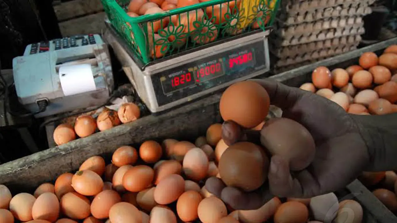 Harga Telur Melambung