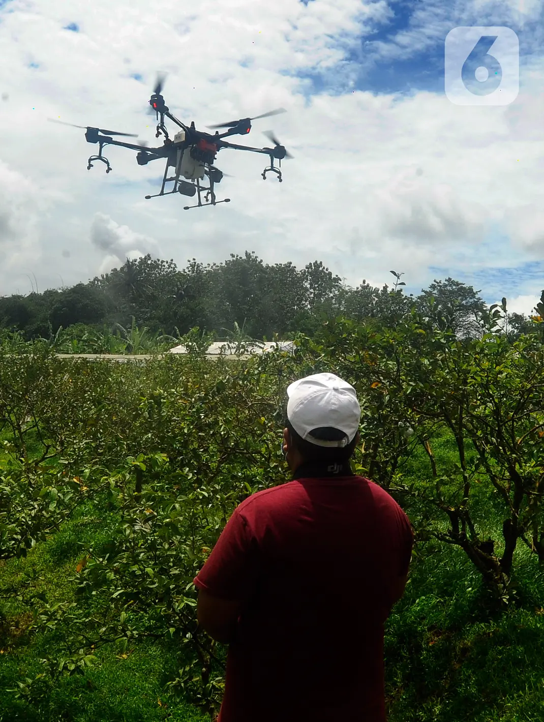 IPB Kembangkan Drone Penyemprot Pupuk untuk Tingkatkan Produksi