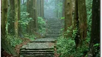 Kumano Kodo tak setenar Gunung Fuji, tapi keduanya sama-sama diakui sebagai warisan dunia oleh UNESCO. (dok. http://www.tb-kumano.jp/Dinny Mutiah)