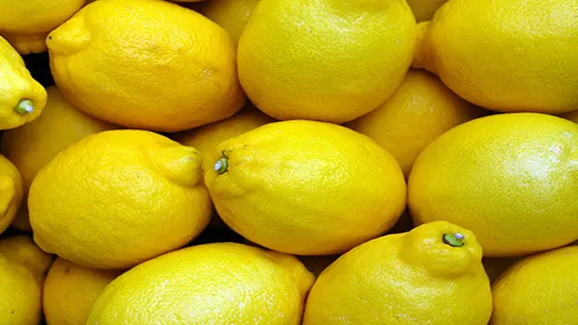 Ilustrasi lemon
