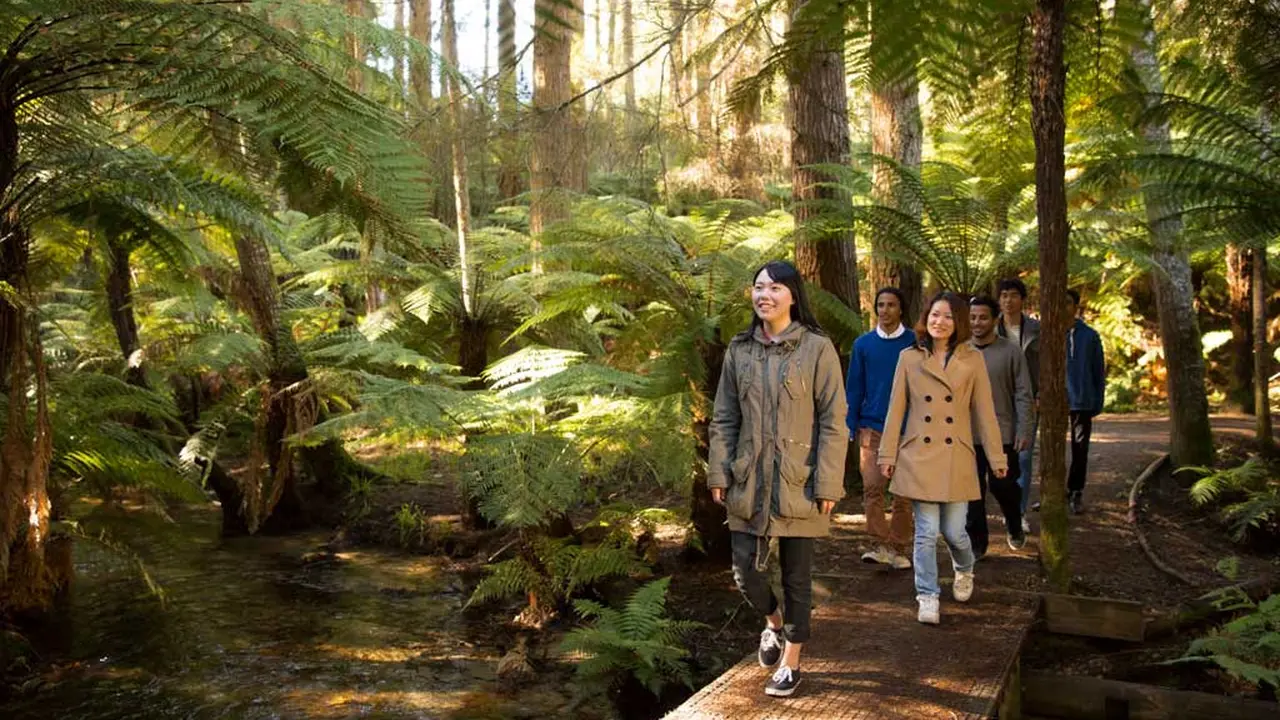 Bak Liburan, 5 Alasan Ini Buat Anda Ingin Kuliah Ke New Zealand