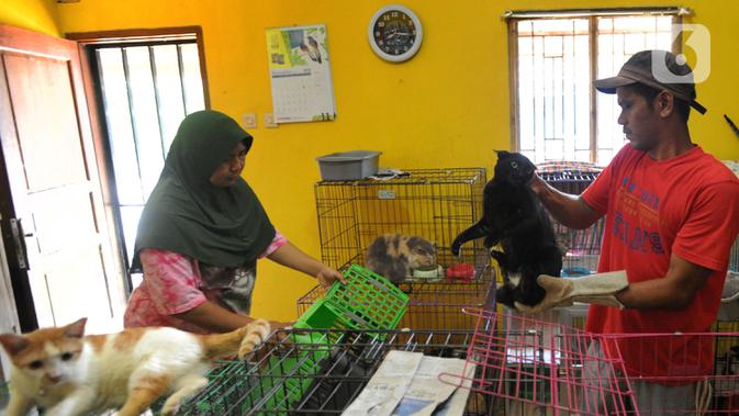Sang pemilik rumah, Dita Agusta bersama suami dan ketiga anaknya, sudah lebih dari lima tahun hidup berdampingan bersama kucing-kucing lokal yang dibuang oleh pemiliknya atau dipungut dari jalanan. (merdeka.com/Arie Basuki)