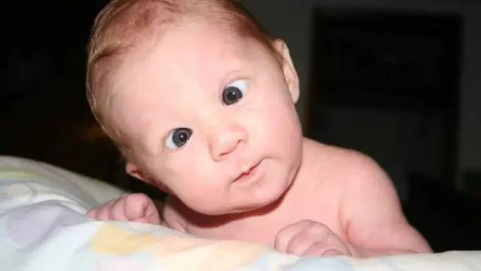 15 Reaksi Konyol Orang-orang Menanggapi Ukuran iPad Pro