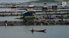 Petani ikan tawar kerambah jaring apung di Desa Panyinangan Kecamatan Sukatani, Waduk Jatiluhur, Purwakarta, Jawa Barat, (9/2). Curah hujan yang tinggi membuat petani merasa tidak berani untuk menabur benih ikan air tawar.  (Merdeka.com/Imam Buhori)