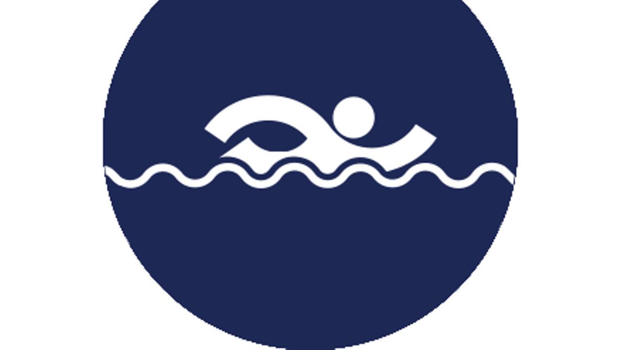 Logo Renang Asian Games 2018