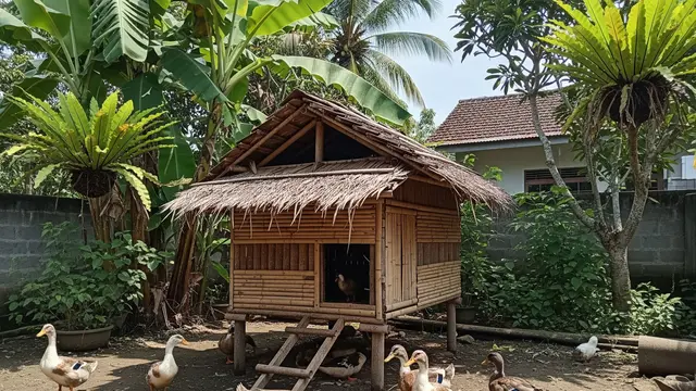 Ternak Bebek 10 Ekor untuk Pemula di Desa, Tips Lengkap Meraup Cuan