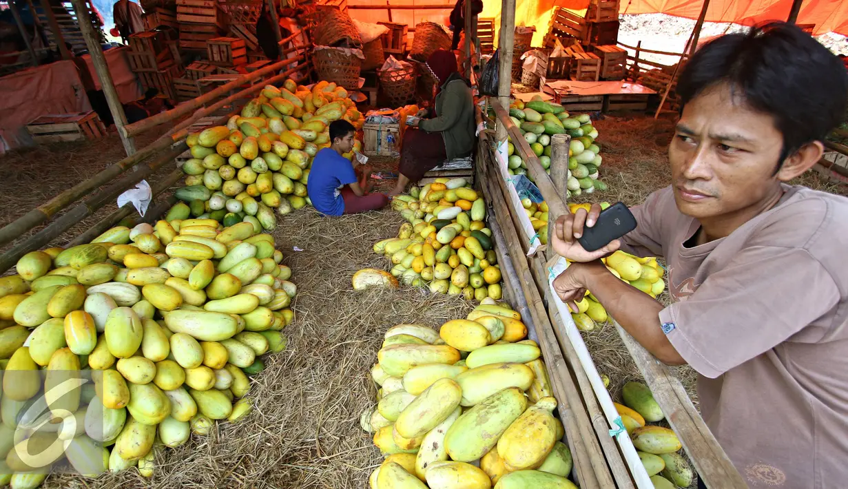 Pedagang menunggu pembeli timun suri di Pasar Induk Kramat Jati, Jakarta, (8/6). Selama bulan Ramadan, timun suri menjadi salah satu buah yang banyak dicari warga sebagai menu berbuka puasa, dengan harga Rp6 ribu perkilo. (Liputan6.com/Immanuel Antonius)