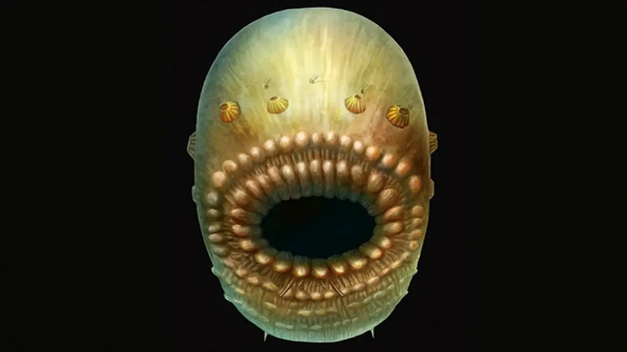Saccorhytus 