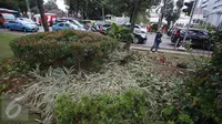 Kondisi tanaman yang rusak akibat unjuk rasa tuntut Ahok di depan gedung Balai Kota Jakarta, Jumat (14/10). Taman tersebut rusak akibat banyaknya pengunjuk rasa yang menginjak-injak serta duduk di atas tanaman. (Liputan6.com/Immanuel Antonius)